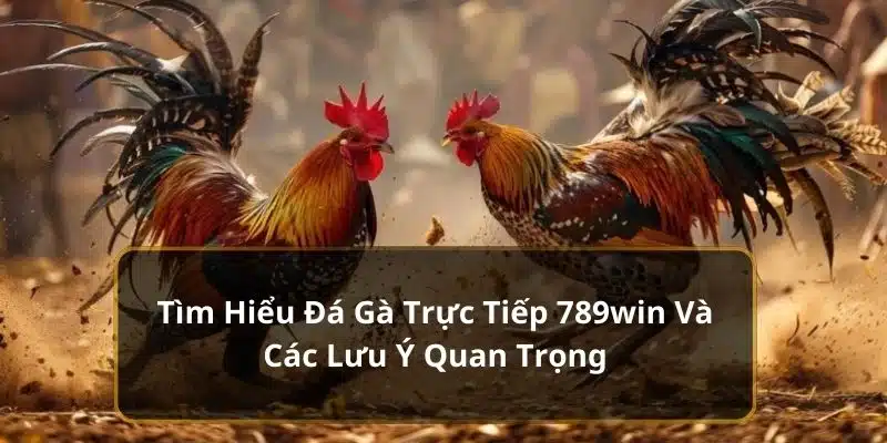 Đá gà trực tiếp 789win